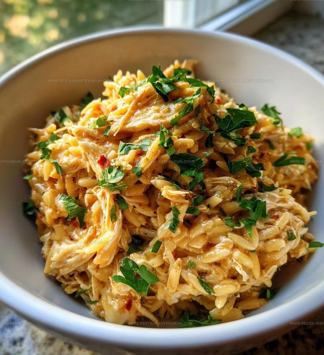 6056272 Slow Cooker Parmesan Herb Chicken Orzo Recipe